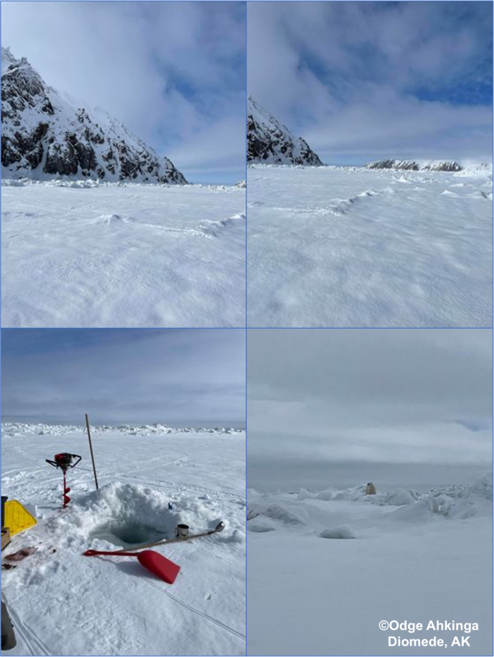 Sea ice and weather conditions, and polar bear in Diomede. Photos courtesy of Odge Ahkinga.