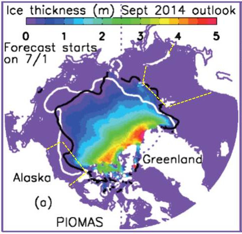 Figure 4. Ensemble median prediction of September 2014 ice thickness and September 2014 ice edge location (black) from PIOMAS and the September 2013 observed ice edge (white) [Zhang and Lindsay]. Regions outlined in yellow show the Beaufort Sea and Barents Sea sea ice areas used in the statistical predictions[Global Weather and Climate Logistics].