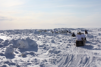 Iñupiat hunters establish a whaling camp on coastal sea ice near Barrow, Alaska, where thinning ice and warming temperatures in Spring are reducing hunting opportunities and increasing risks to personal safety. (Courtesy: M. Druckenmiller)