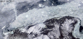 30 May 2011 Satellite image shows rotting ice near Shishmaref