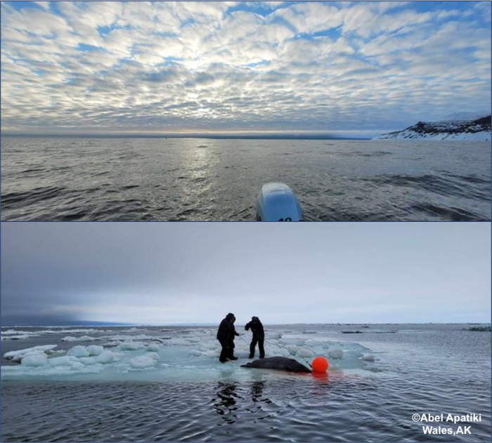 Top photo: Weather and sea conditions near Wales, AK. Bottom photo: Mother's day boating, 5 to 6 miles N-NW yesterday (Sunday). Photos courtesy of Abel Apatiki.
