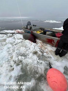 Sea ice and weather conditions near Odge Ahkinga. Photos courtesy of Justin Ahkinga.